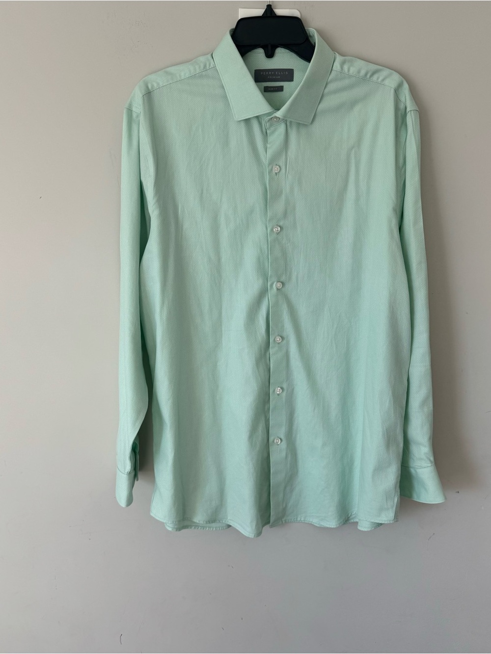 Perry Ellis Light Mint Green Long-Sleeve Button-Down Shirt